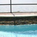 Fenning1871 Fenning1871