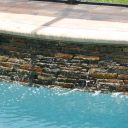 Fenning481 Fenning481