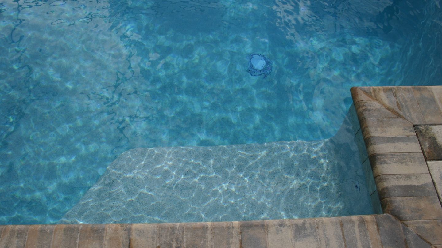 IMG 0035