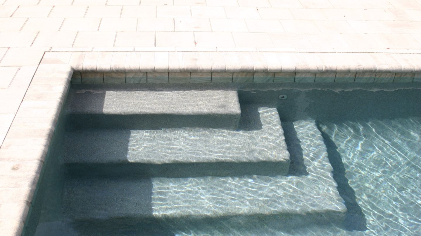IMG 1556