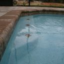 IMG 9890