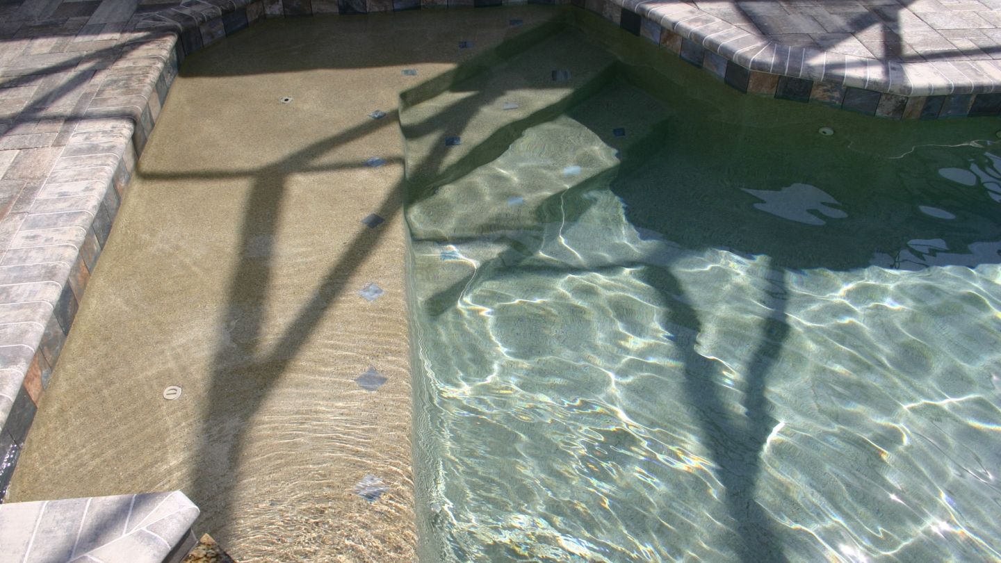 IMG 0993