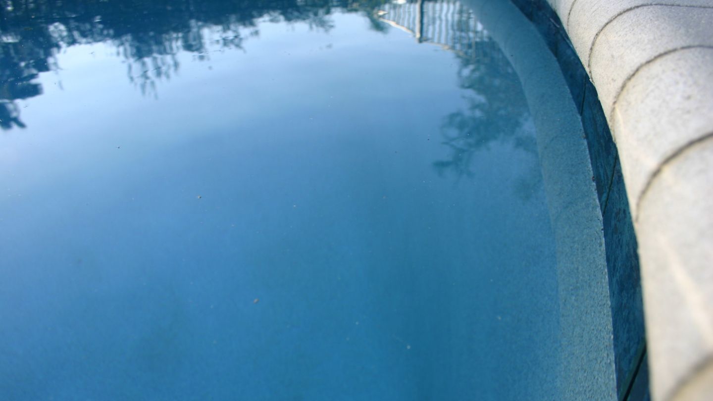 IMG 7577