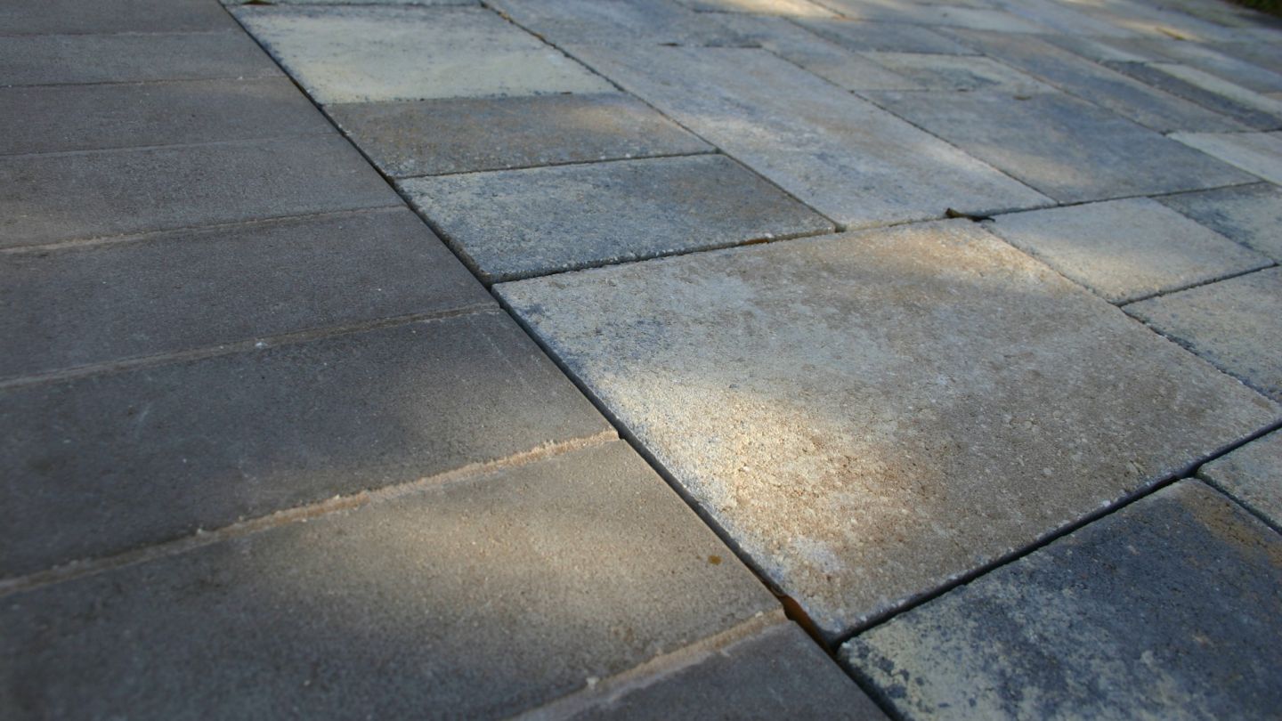 ATLAS TOOK PICS  2 18 16 018