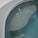 ATLAS TOOK PICS  2 18 16 266