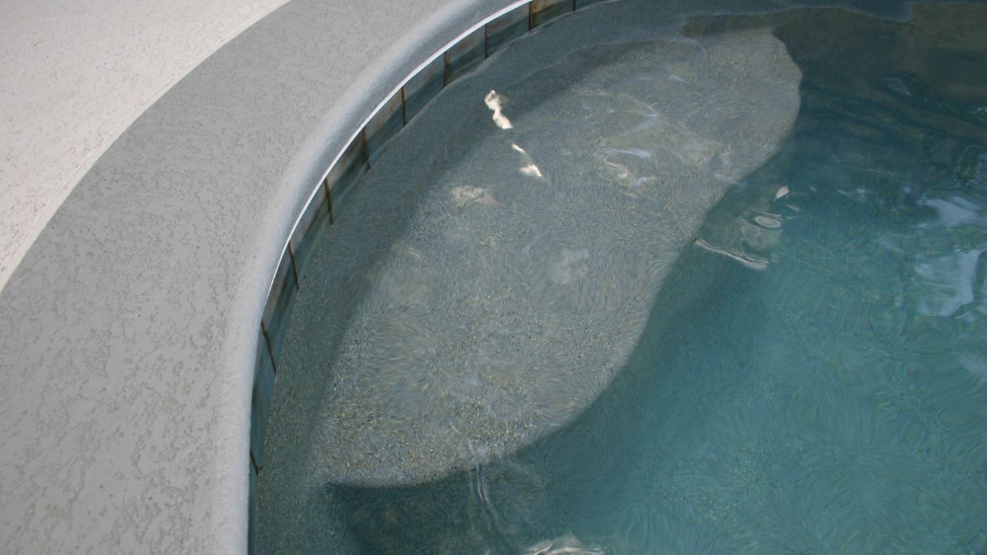 ATLAS TOOK PICS  2 18 16 266