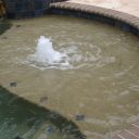 IMG 6259