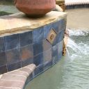 IMG 6295