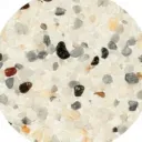 reg salt and pepper