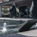 pool